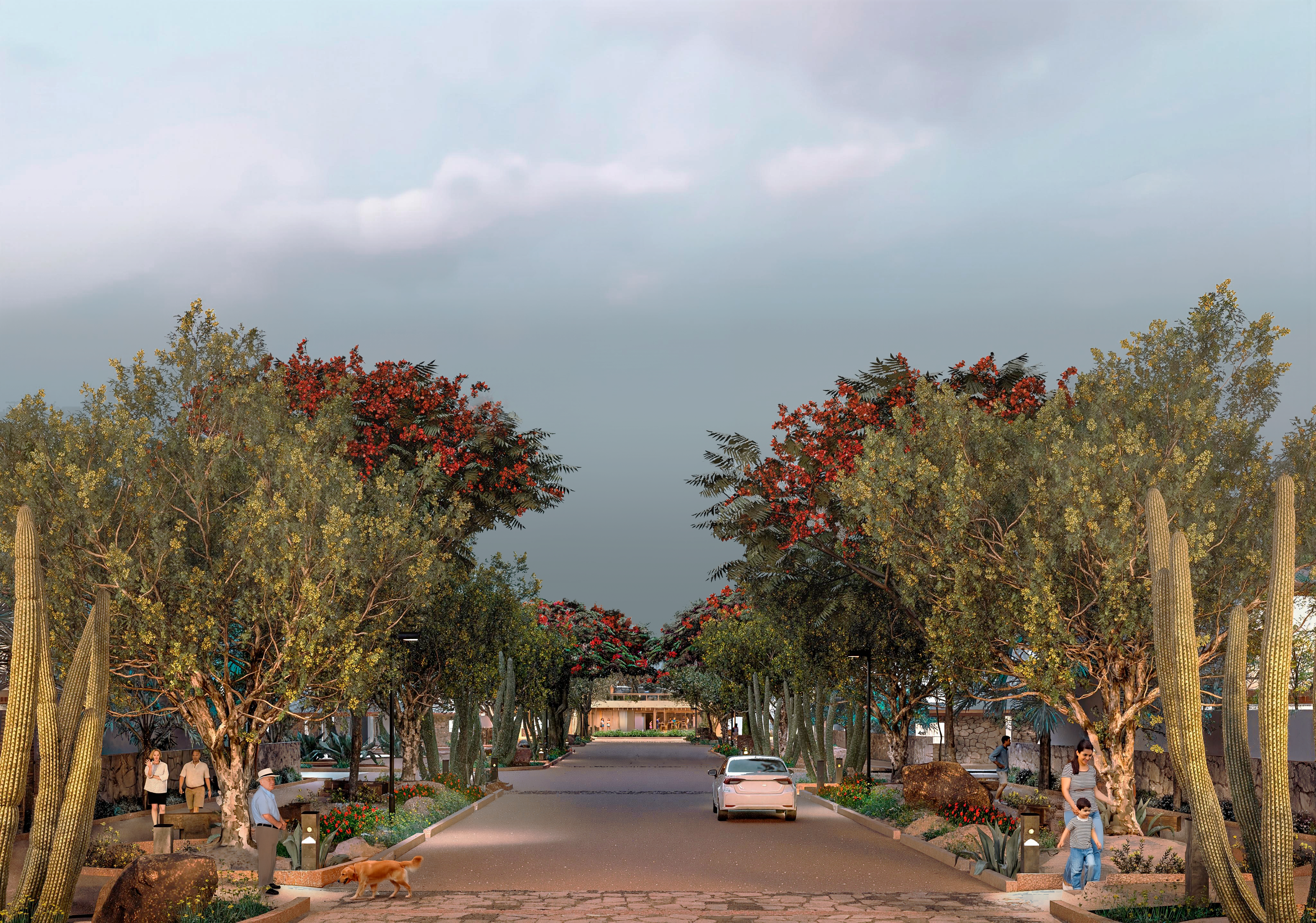 Vista de una calle principal del proyecto de paisaje para una comunidad, ubicado en La Paz, Baja California Sur.